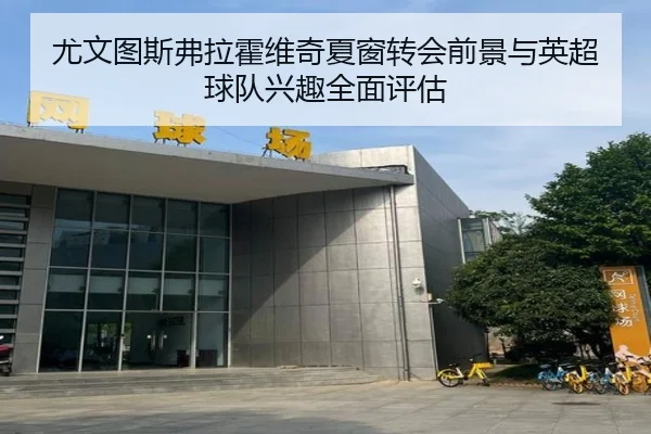 尤文图斯弗拉霍维奇夏窗转会前景与英超球队兴趣全面评估